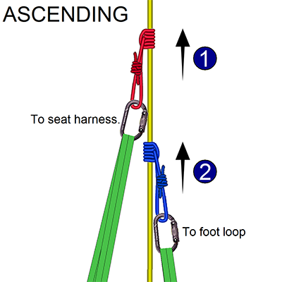 Rope Rescue Prusik Hitch